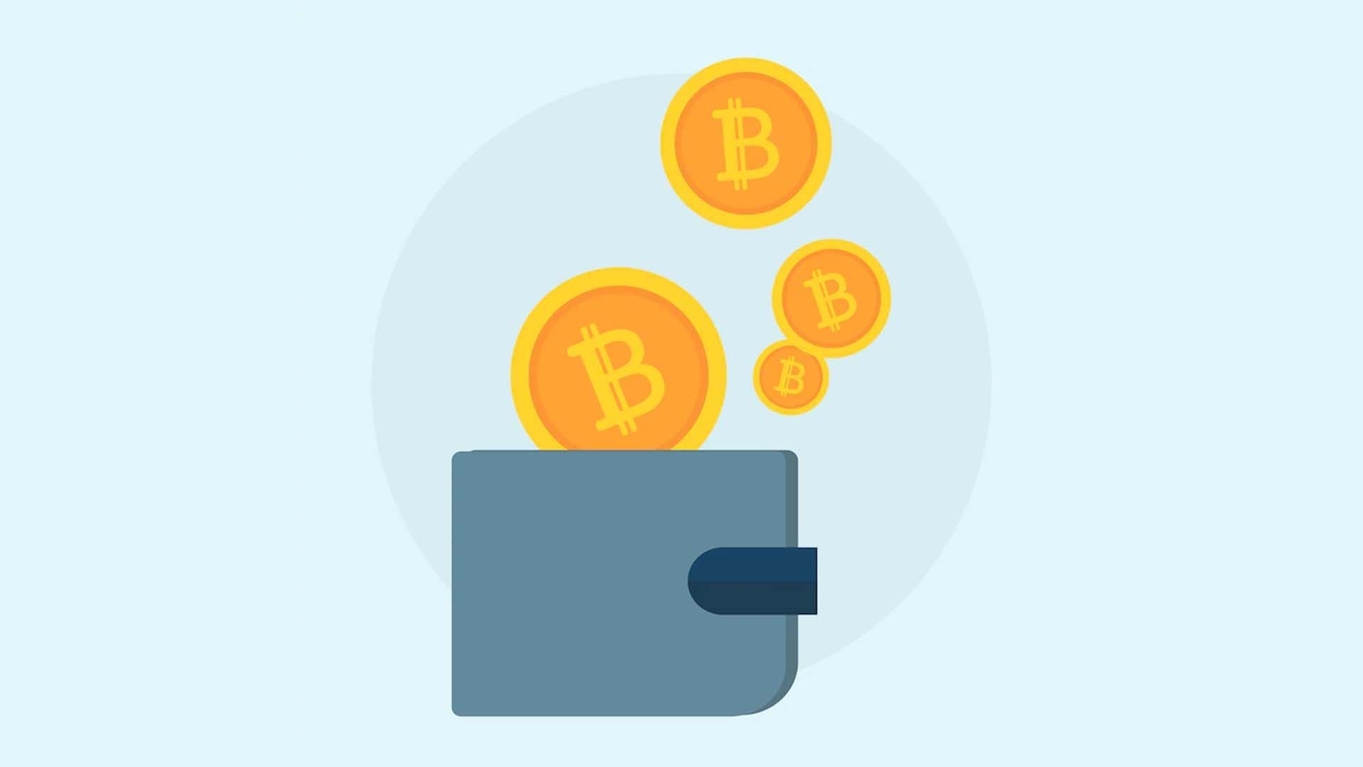 crypto-wallet